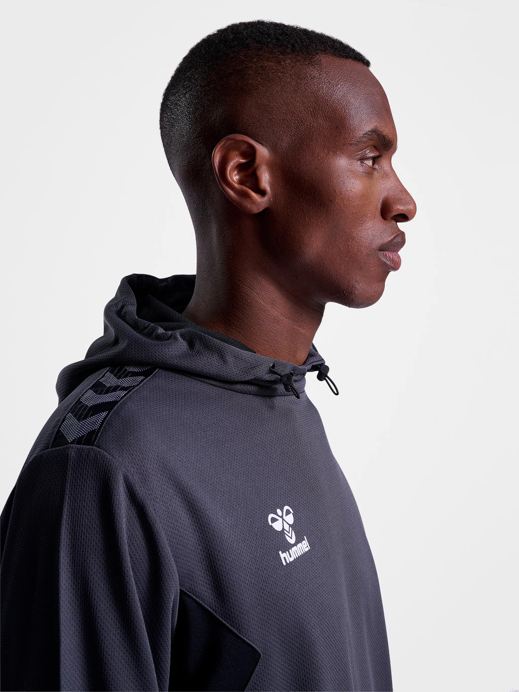 hmlAUTHENTIC PL HOODIE