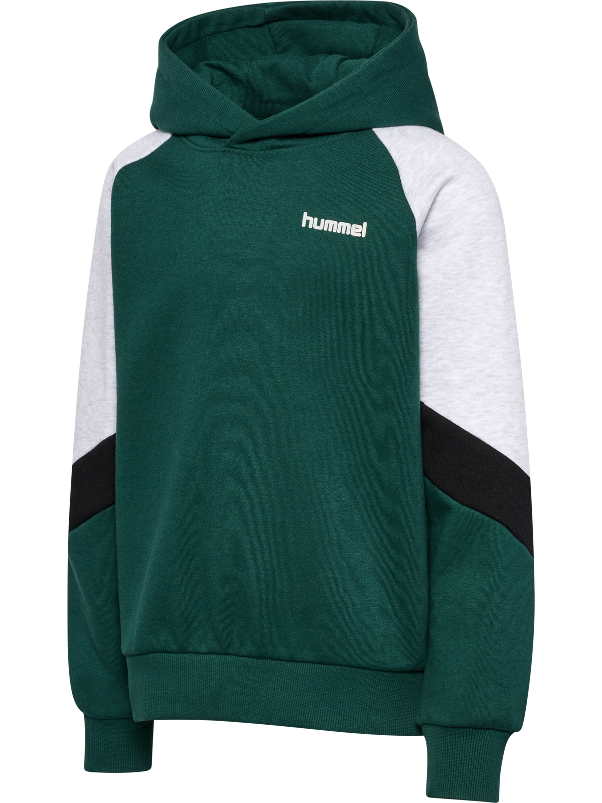hmlJR LOOSE BLOCKED HOODIE