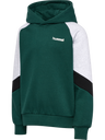 hmlJR LOOSE BLOCKED HOODIE