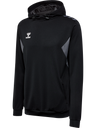 hmlAUTHENTIC PL HOODIE