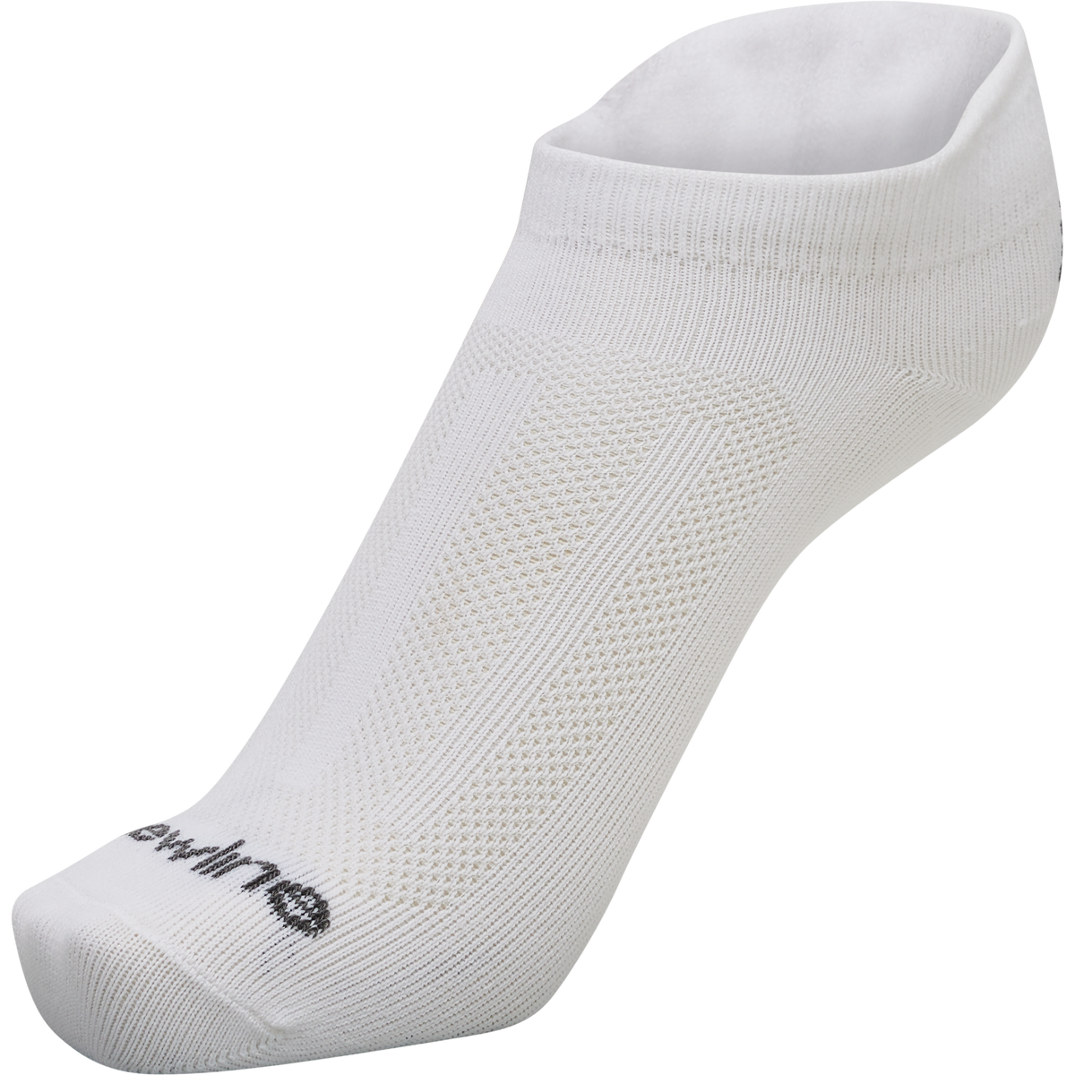 BASE SOCKLET