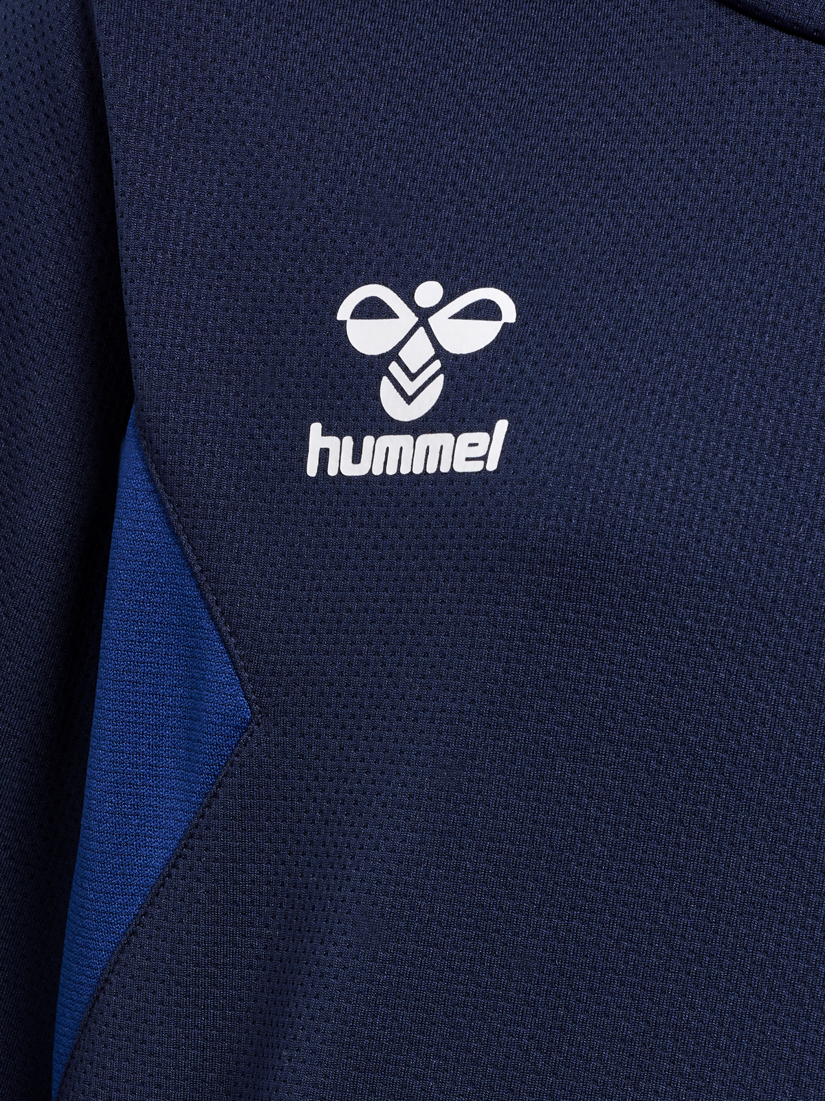hmlAUTHENTIC PL HOODIE KIDS