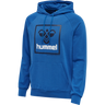 hmlISAM 2.0 HOODIE