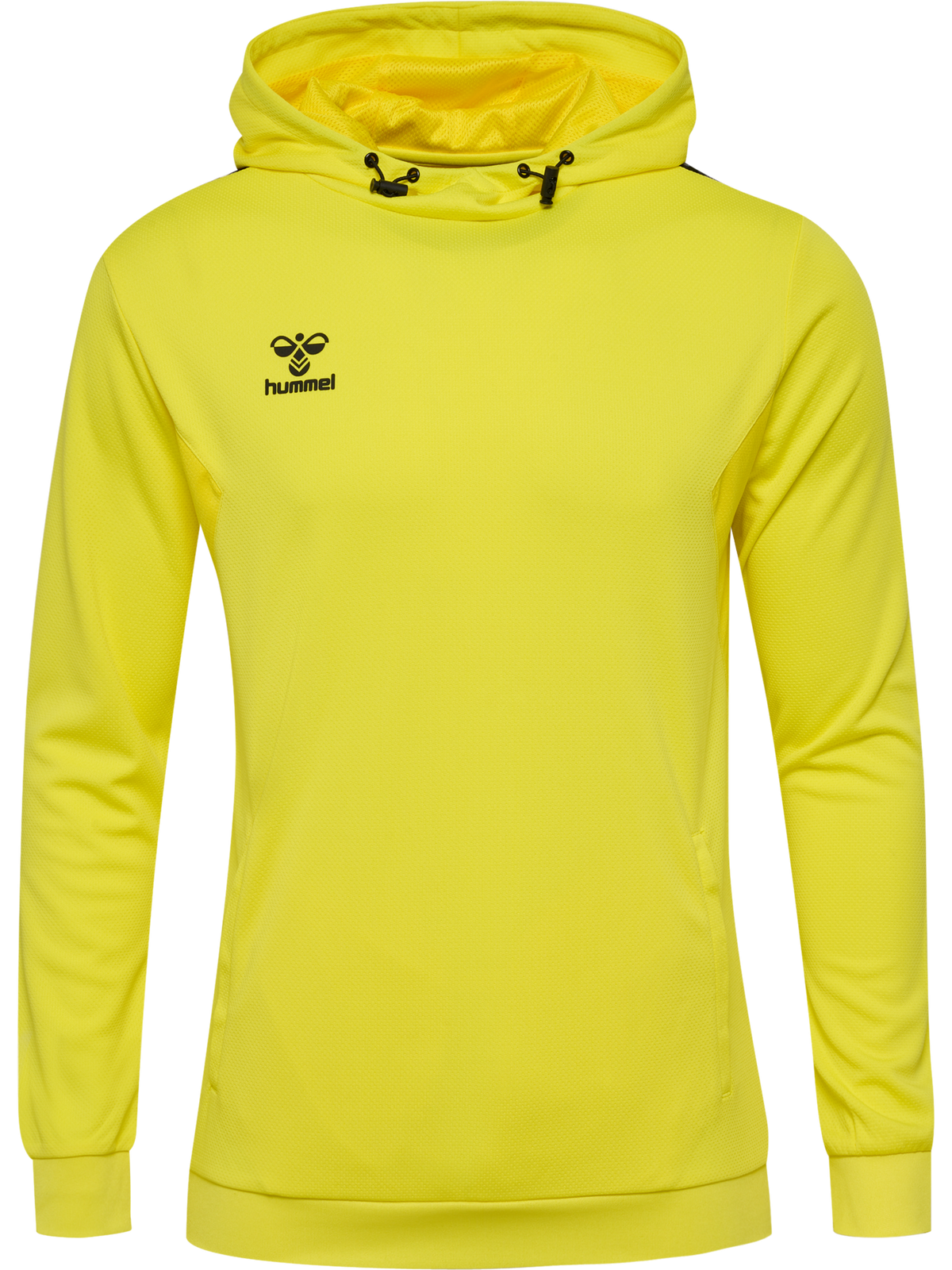 hmlAUTHENTIC PL HOODIE