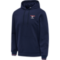 hmlIC DAYTON HOODIE