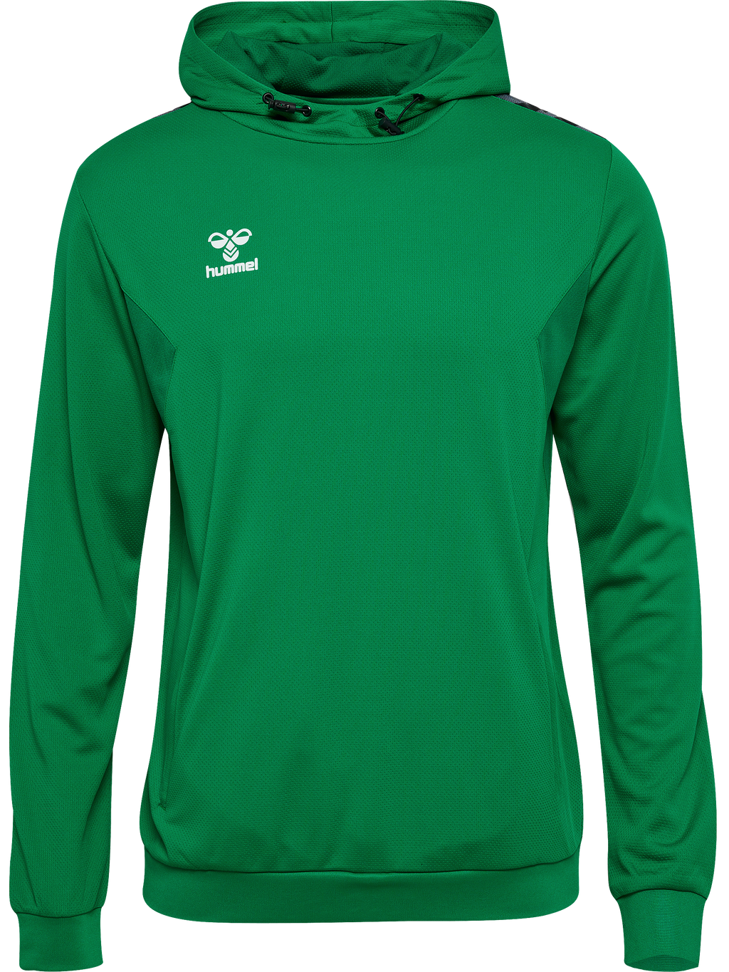 hmlAUTHENTIC PL HOODIE