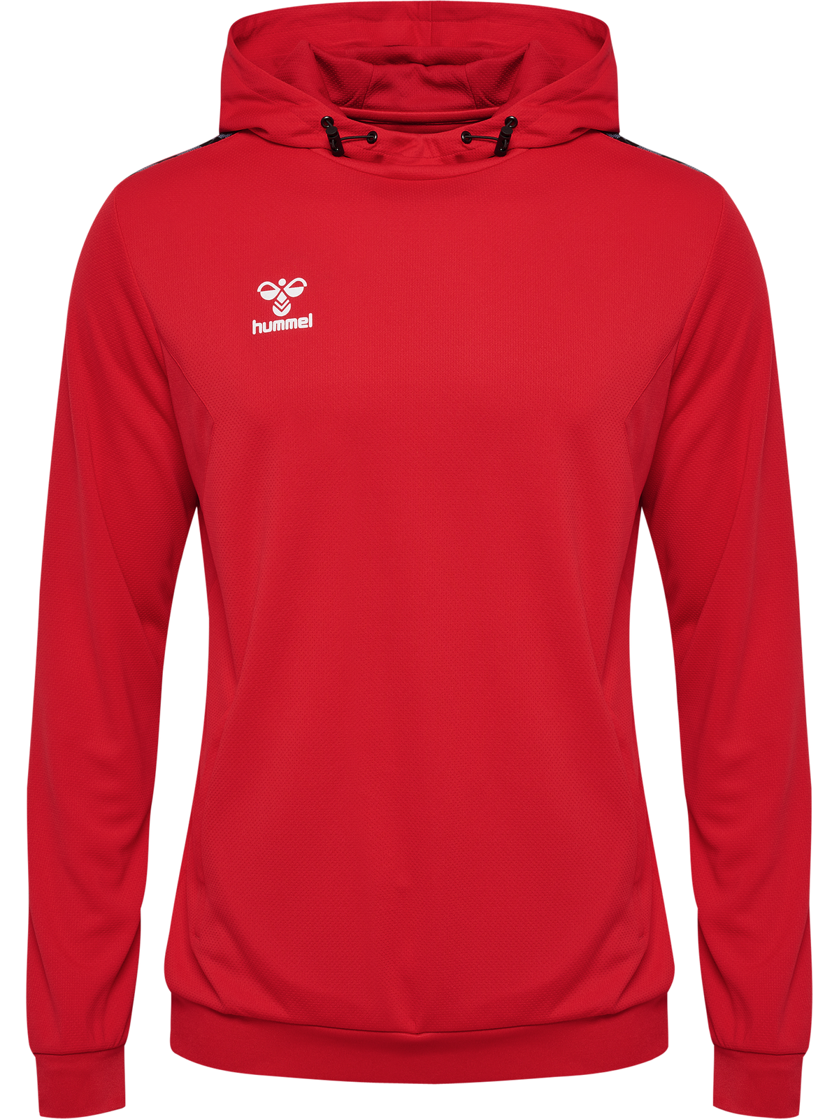 hmlAUTHENTIC PL HOODIE