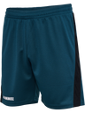 hmlMULTI PL SHORTS