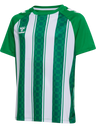 hmlMATCH STRIPED JERSEY S/S KIDS