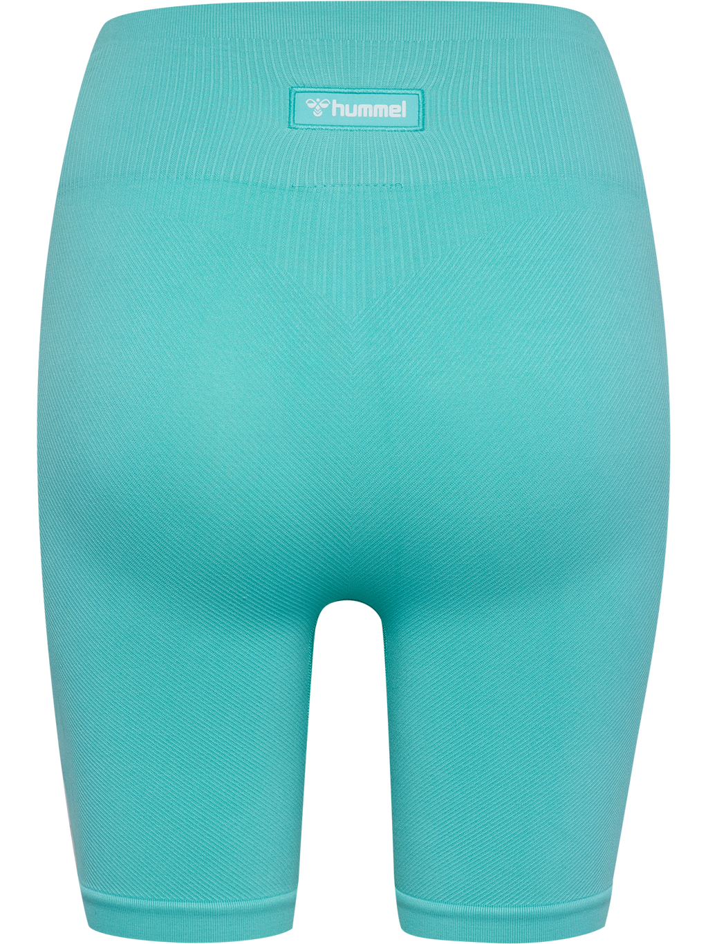 hmlALIVE SEAMLESS HIGH WAIST SHORTS