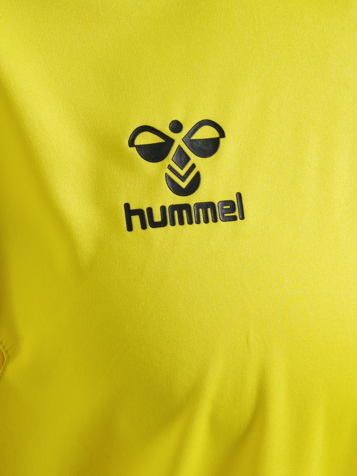 hmlAUTHENTIC PL JERSEY S/S