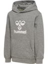 hmlMOTION BEE CO HOODIE KIDS