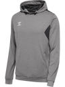 hmlAUTHENTIC PL HOODIE