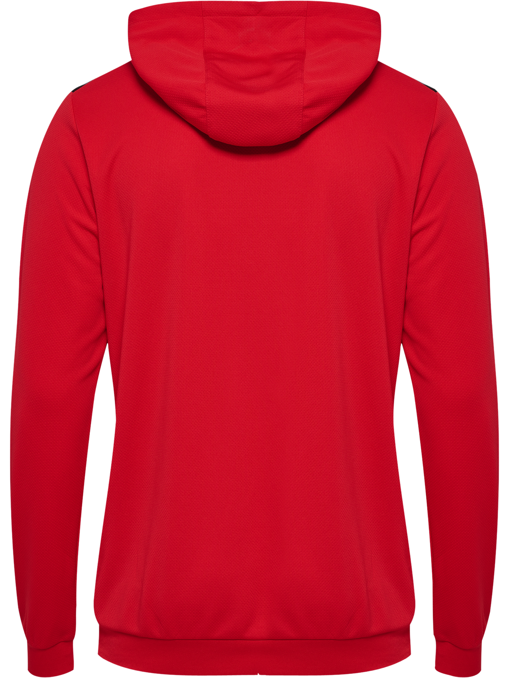 hmlAUTHENTIC PL HOODIE