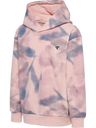 hmlJR LOOSE AOP HOODIE BEE
