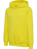 hmlGO 2.0 HOODIE KIDS