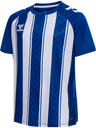 hmlMATCH STRIPED JERSEY S/S KIDS