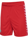 WER 23/24 GK SHORTS