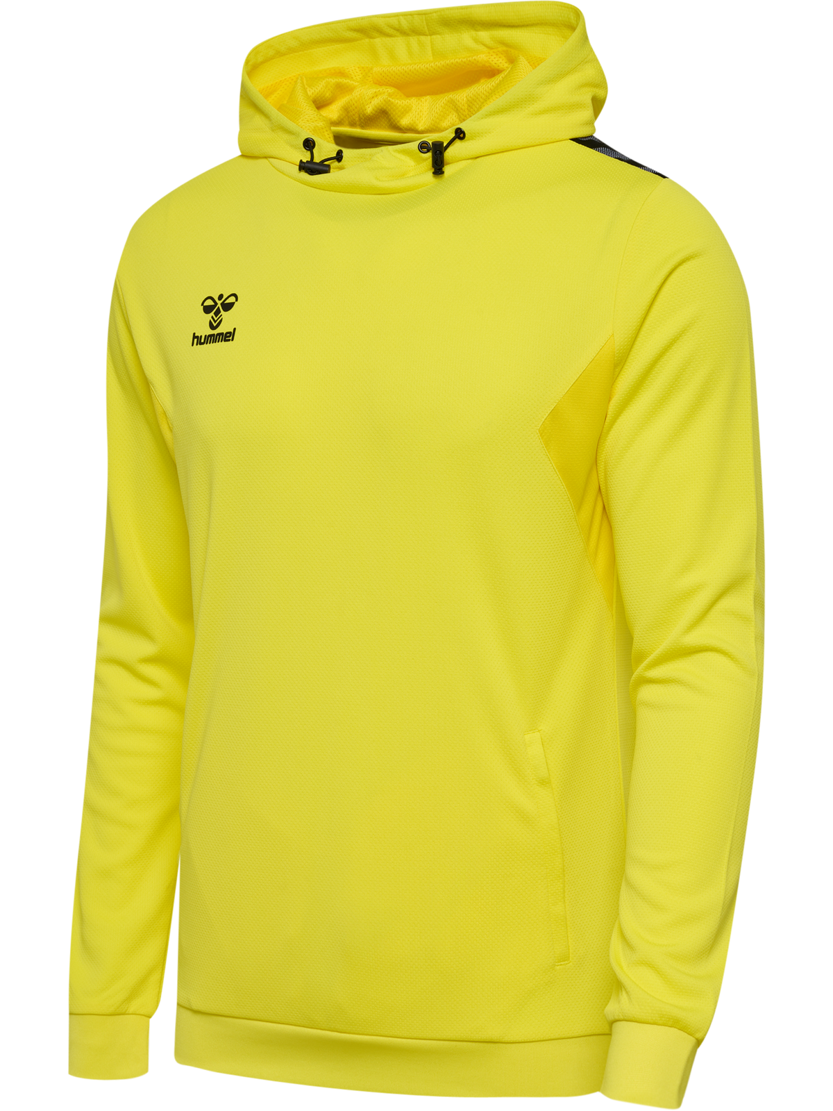 hmlAUTHENTIC PL HOODIE