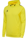 hmlAUTHENTIC PL HOODIE