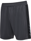 hmlPULSE STRIPE BLOCKED SHORTS