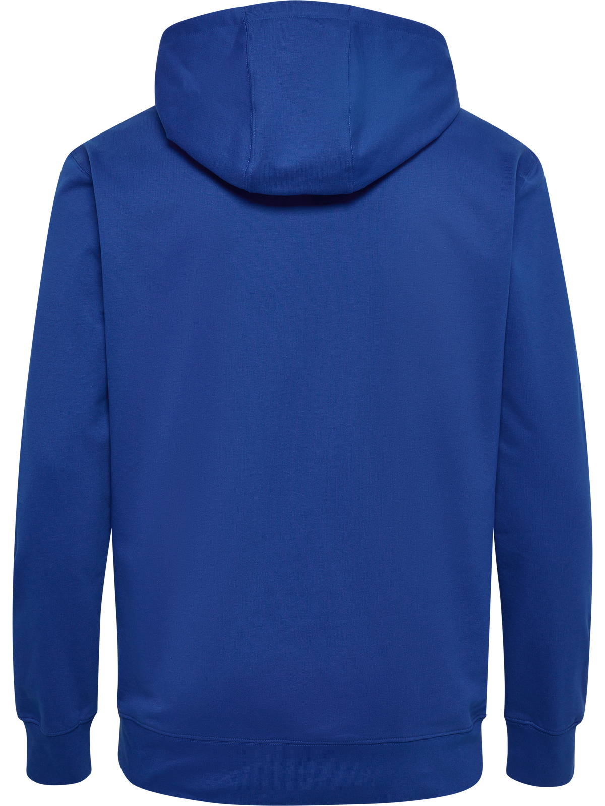hmlGO 2.0 LOGO HOODIE